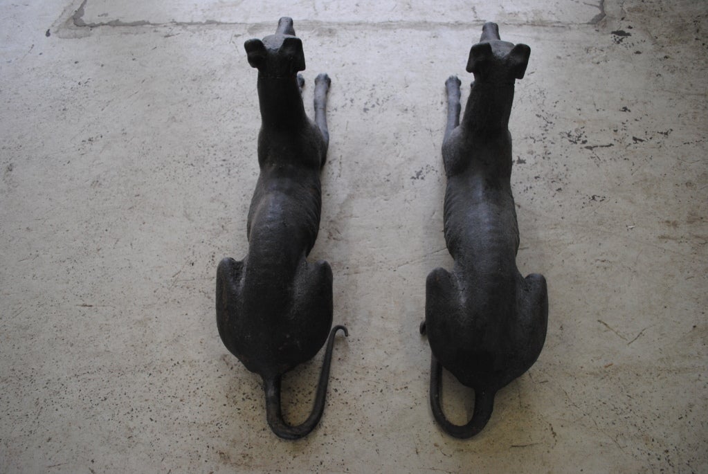 Pair of Cast Iron Dogs 1