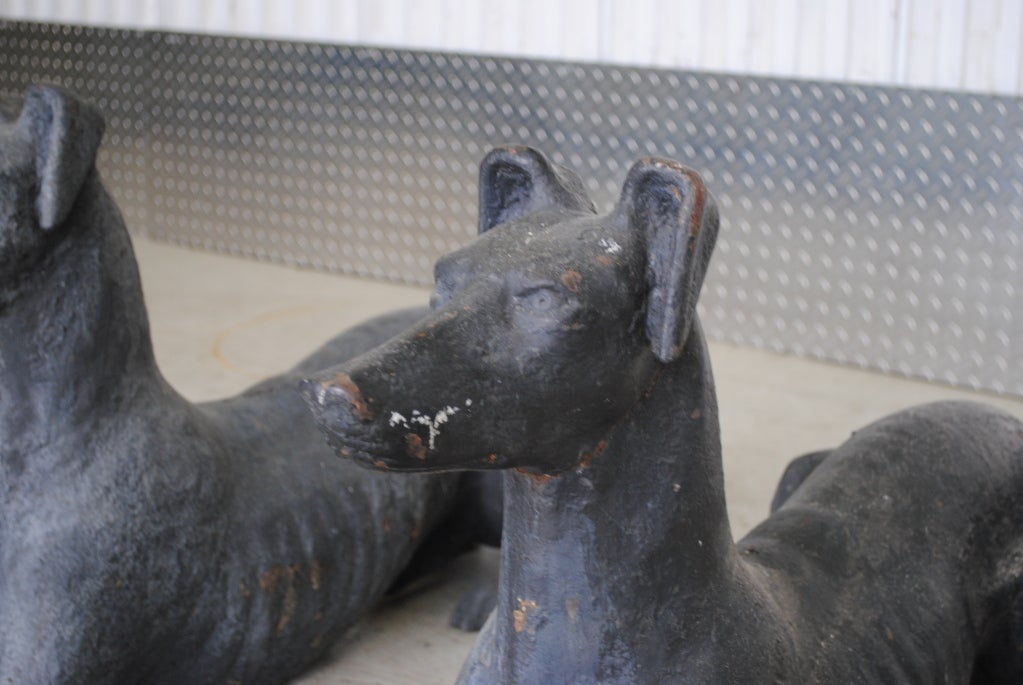 Pair of Cast Iron Dogs 5