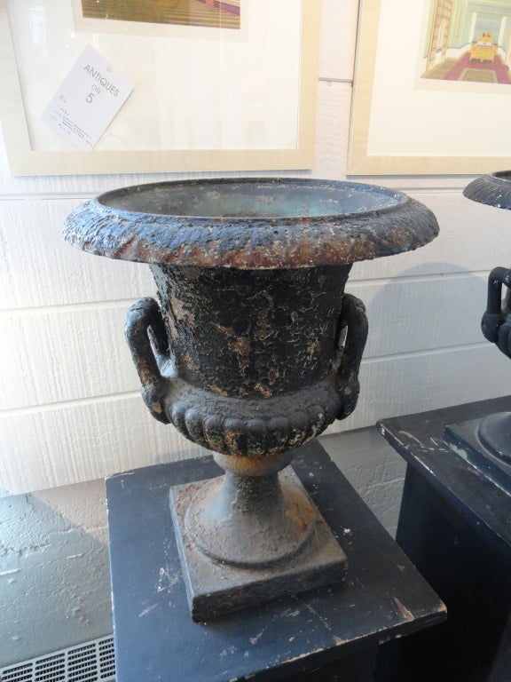 French Pair of Black Iron Urns on Pedestals