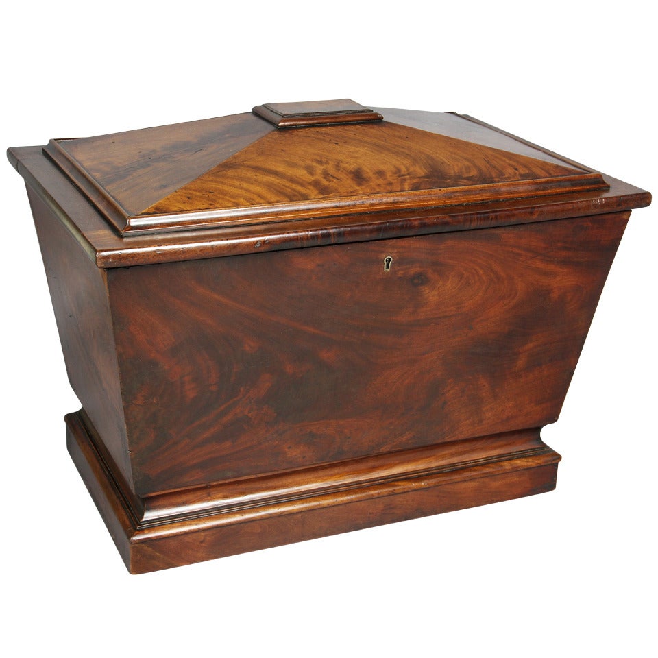 Regency Mahogany Wine Cooler For Sale