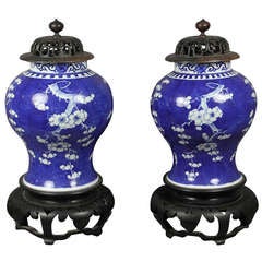 Pair Of Chinese Blue And White Jars On Stands