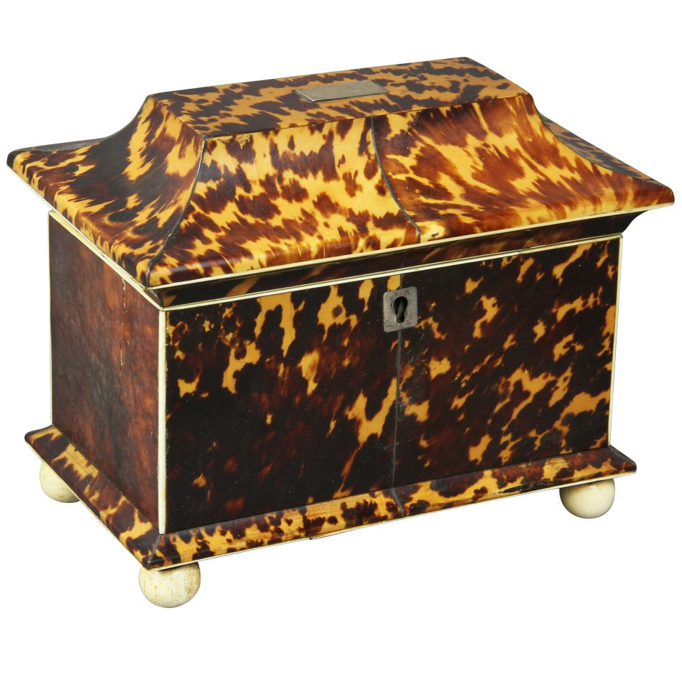 Regency Tortoise Shell Tea Caddy