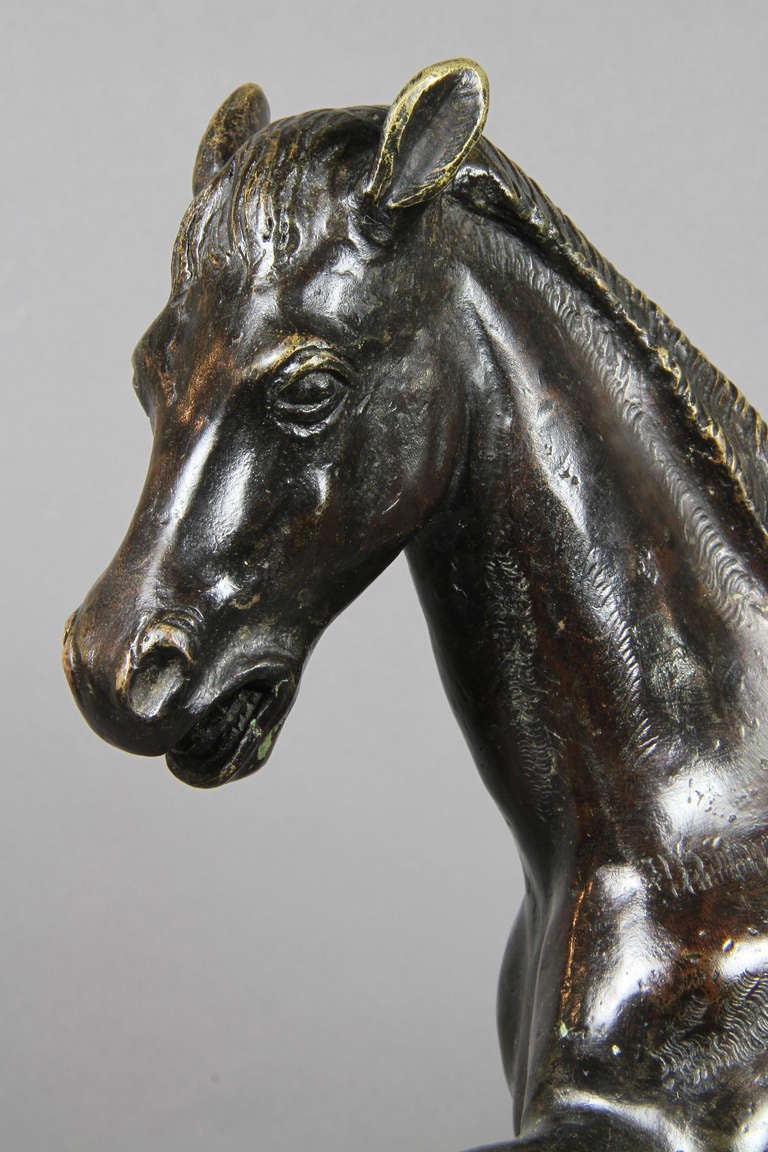 Classical Roman Italian Bronze and Marble Horse