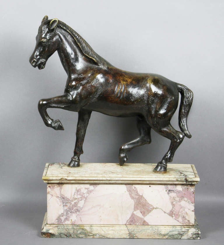 Italian Bronze and Marble Horse In Good Condition In Essex, MA