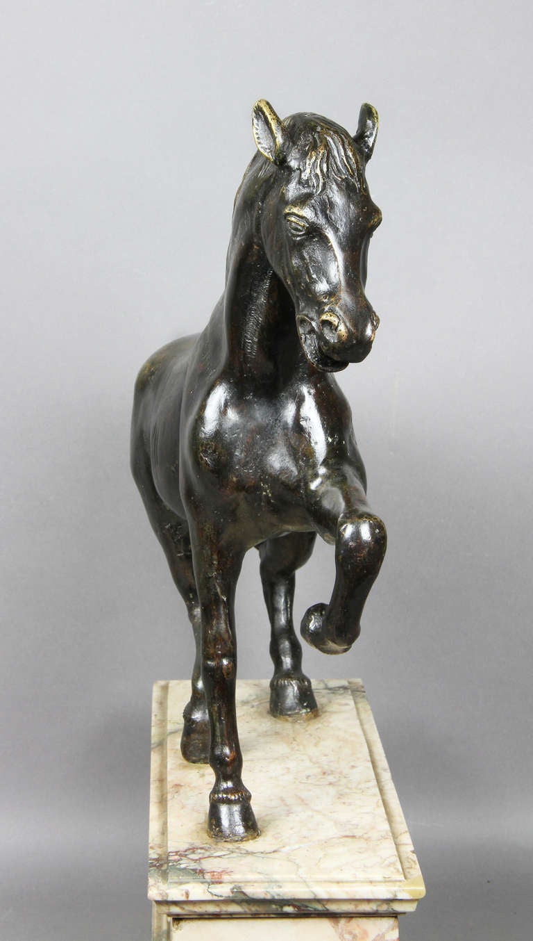 Italian Bronze and Marble Horse 1