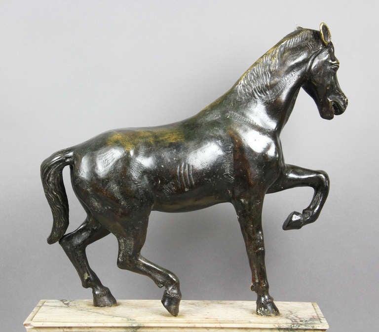 Italian Bronze and Marble Horse 2