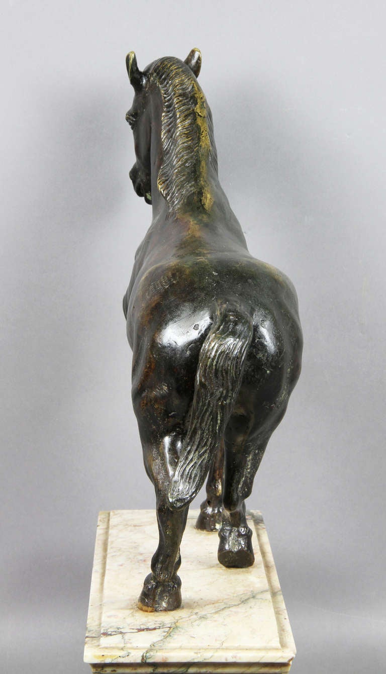 Italian Bronze and Marble Horse 3