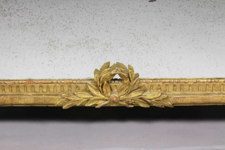 Carved Large Louis XVI Giltwood Mirror