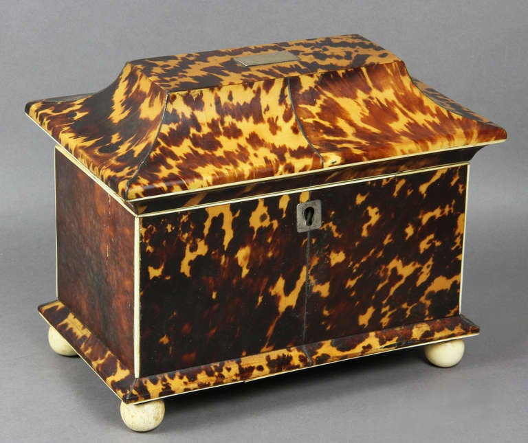 Boîte à thé Regency en écaille de tortue