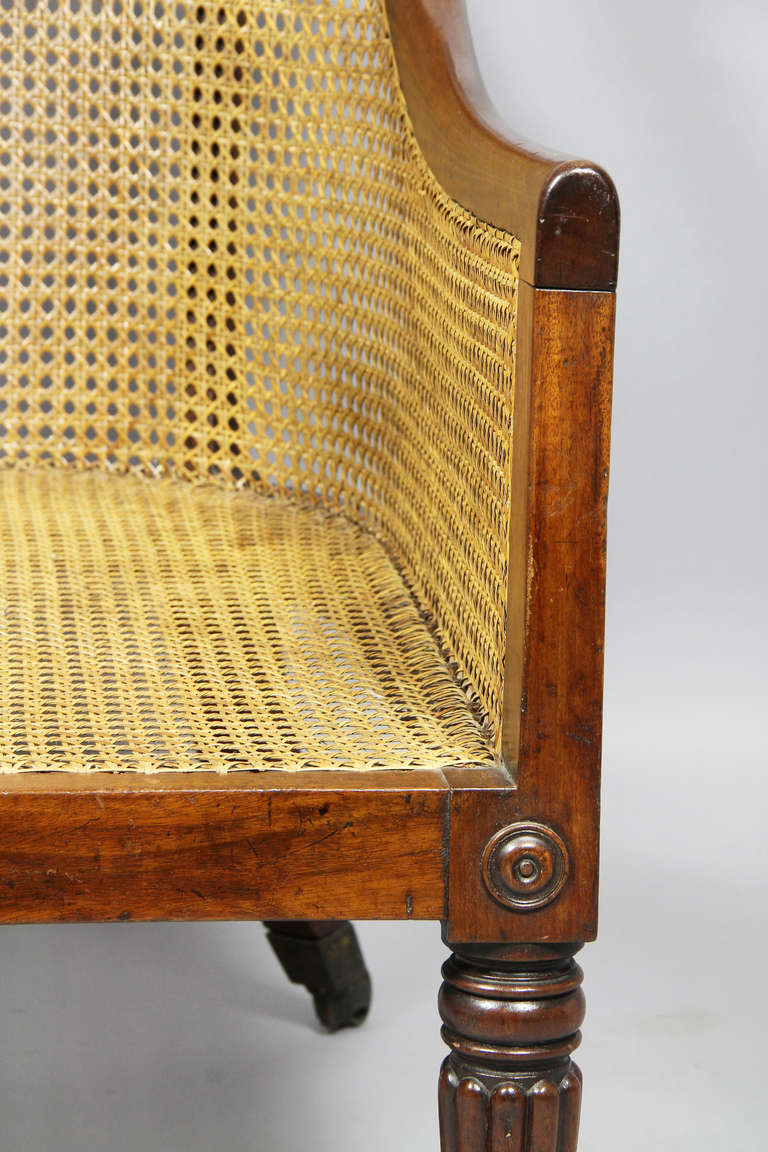 British Regency Mahogany And Caned Tub Chair