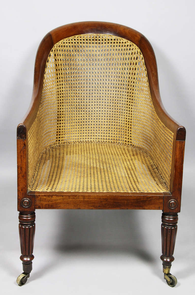 19th Century Regency Mahogany And Caned Tub Chair