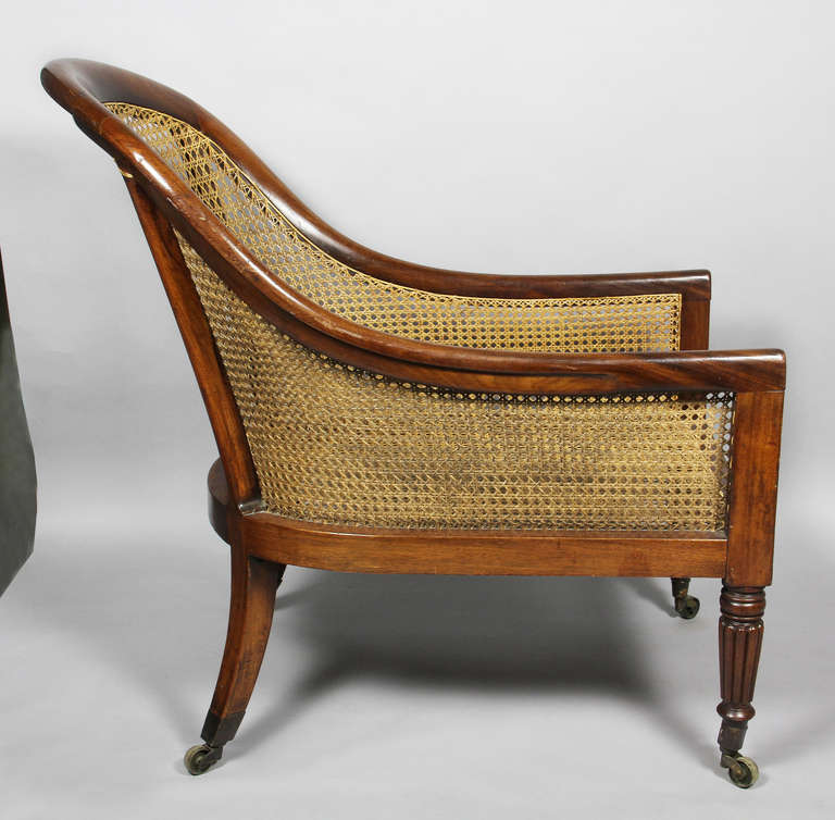 Regency Mahogany And Caned Tub Chair 1