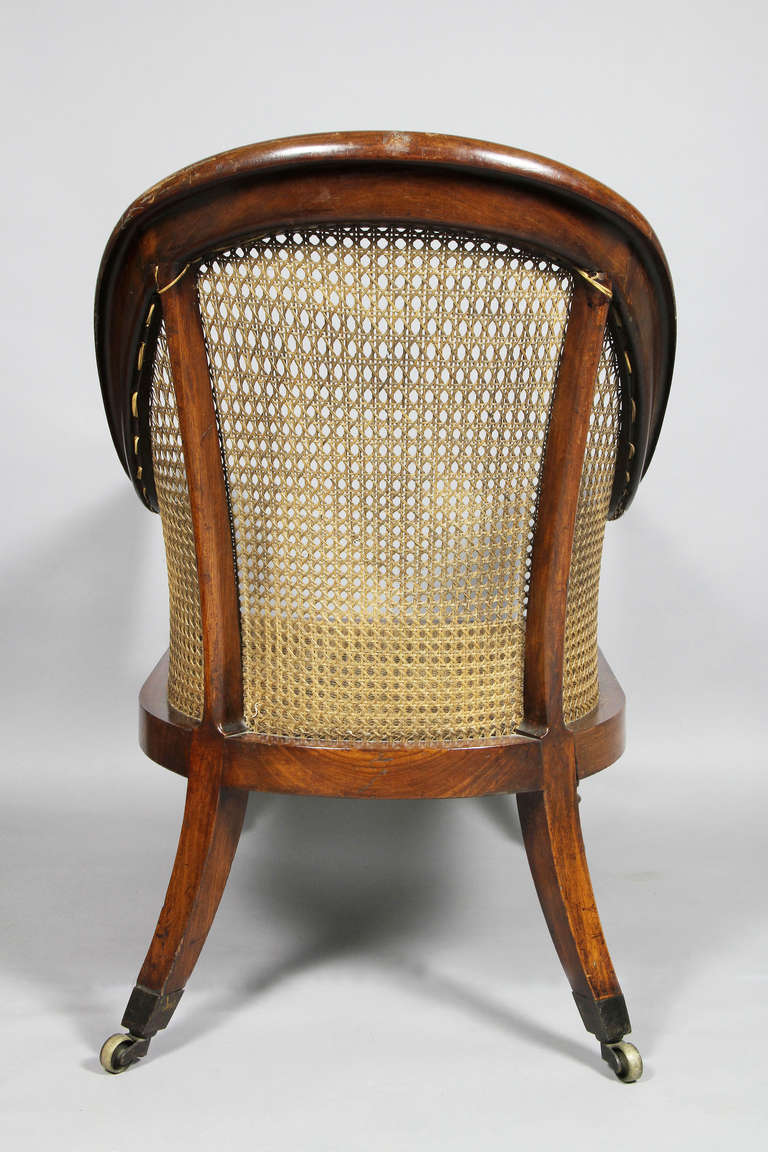 Regency Mahogany And Caned Tub Chair 3