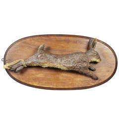Terracotta and Painted Rabbit Trophy Plaque
