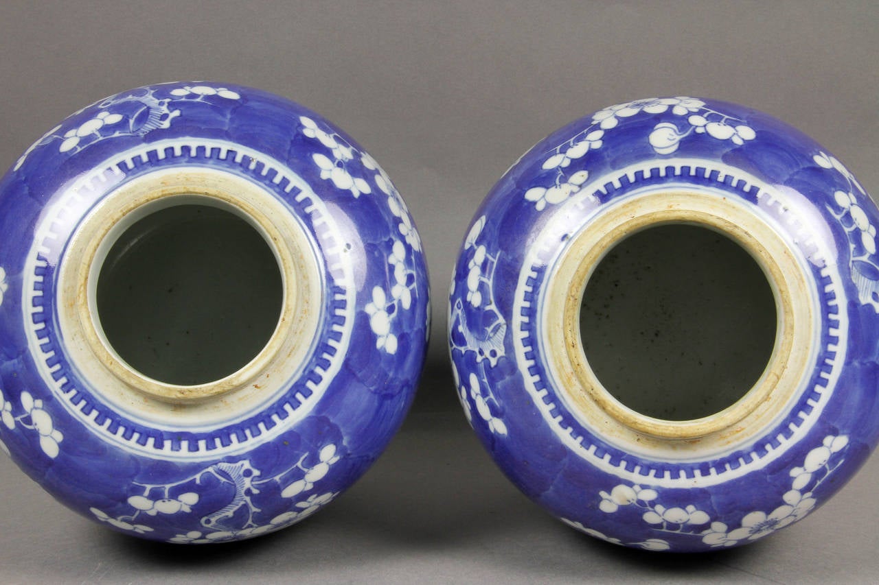 Pair of Chinese Blue and White Ginger Jars 1