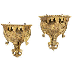 Pair of Regence Style Giltwood Wall Brackets