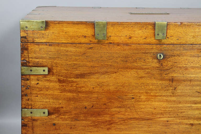 Campaign Chinese Export Camphorwood And Brass Trunk