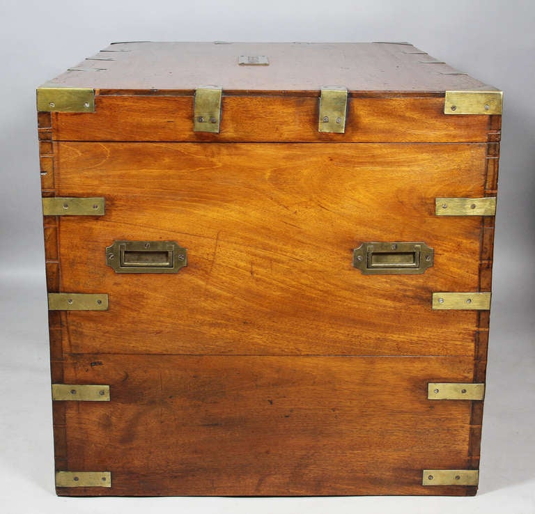 Chinese Export Camphorwood And Brass Trunk 2