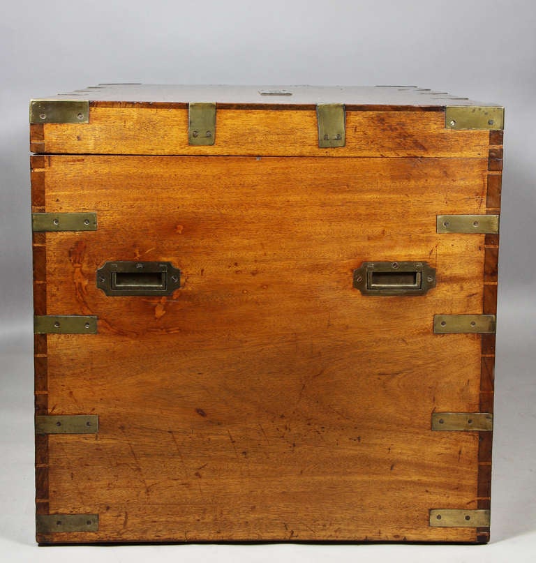 Chinese Export Camphorwood And Brass Trunk 3