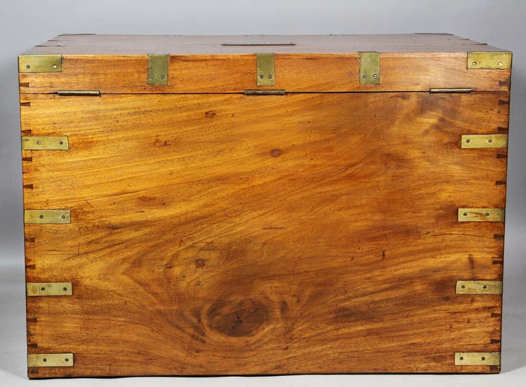 Chinese Export Camphorwood And Brass Trunk 4