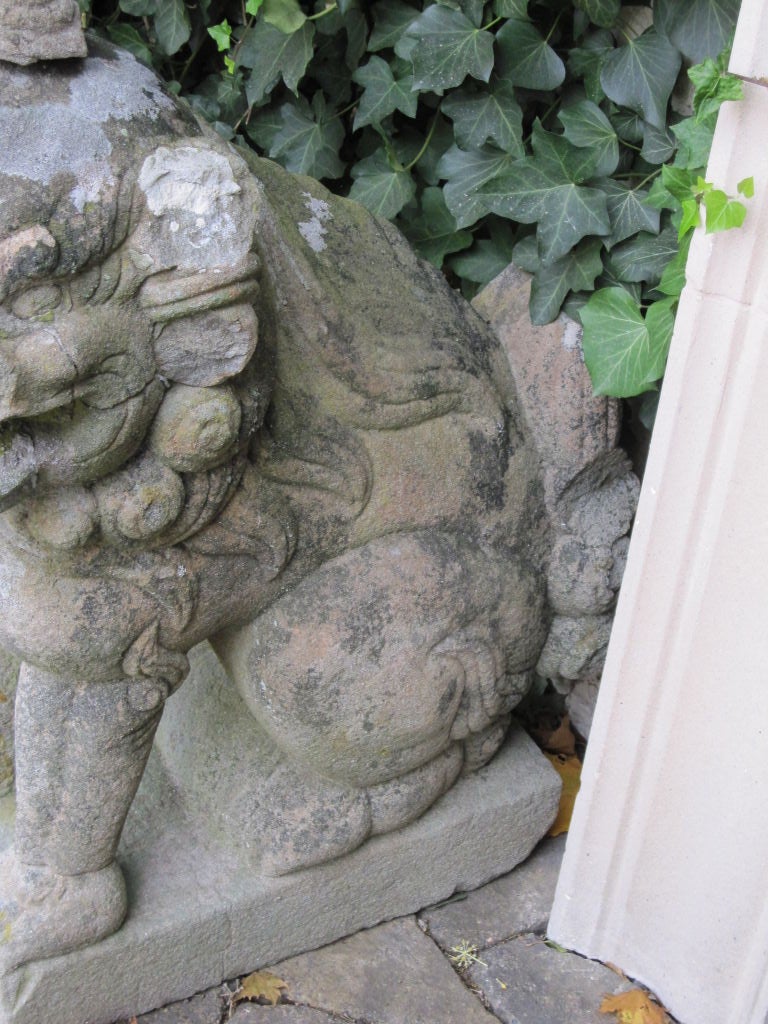Pair of Chinese Sandstone Buddhistic Lions 4