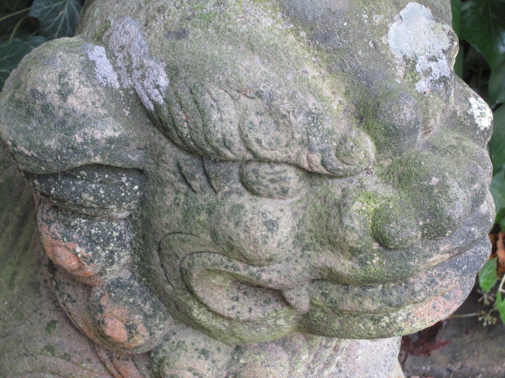 Pair of Chinese Sandstone Buddhistic Lions 6