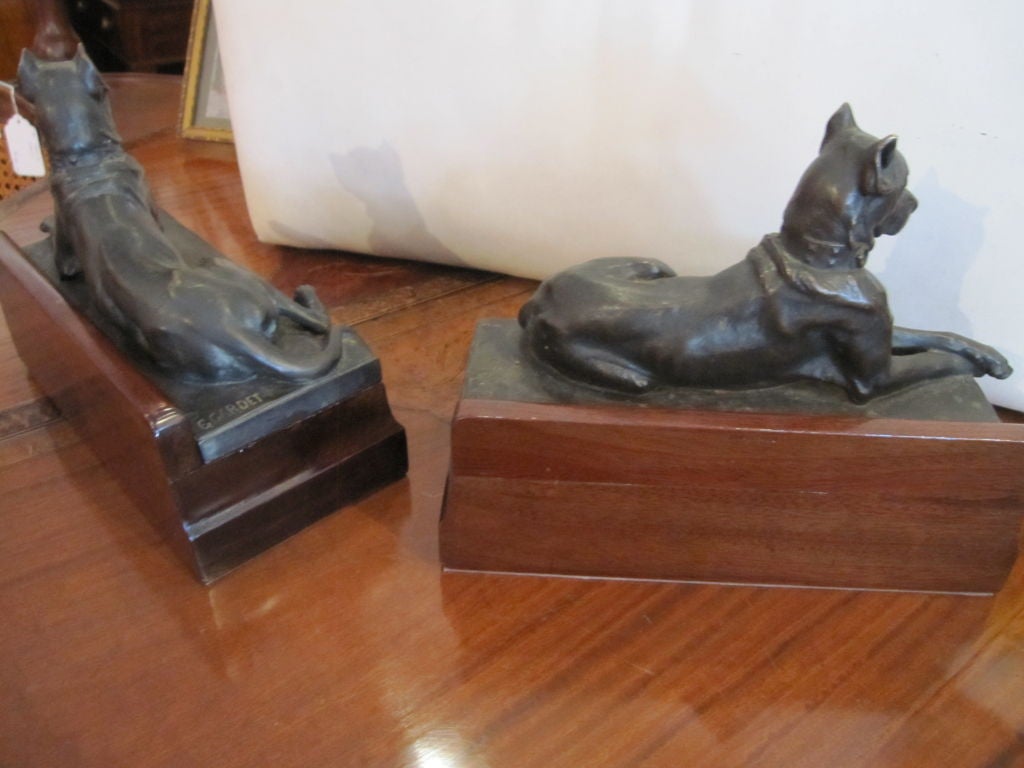 French A Pair Bronze Figures of Great Danes By George Gardet