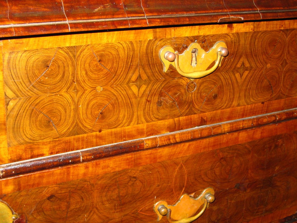 English William And Mary Walnut And Oyster Veneer Chest