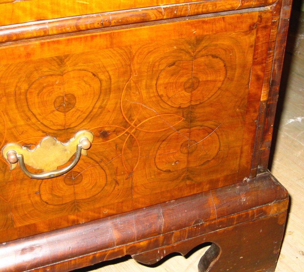 18th Century and Earlier William And Mary Walnut And Oyster Veneer Chest