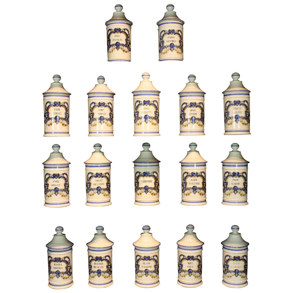 Rare Set of 17 French Porcelain Apothecary Jars
