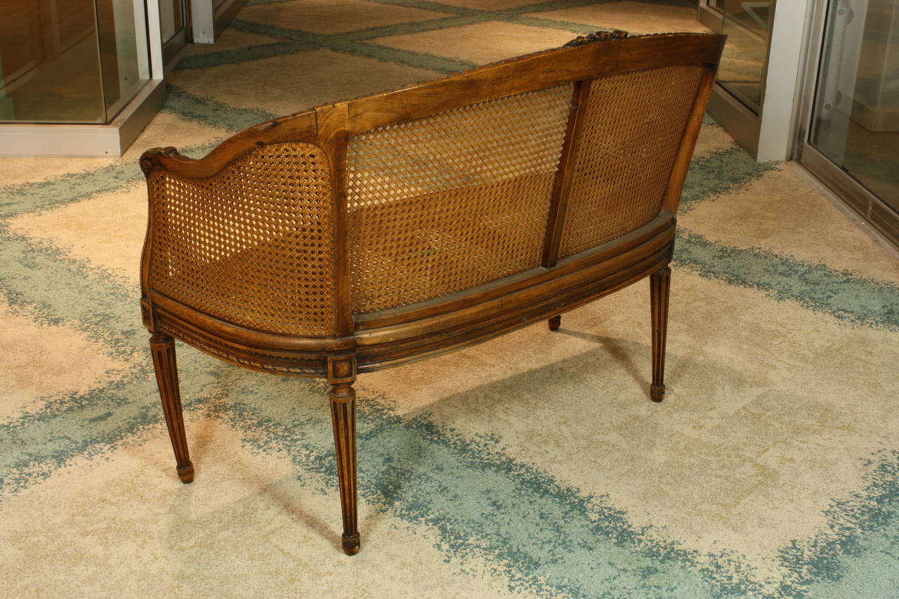 19th Century French Louis XVI Style Caned Fruitwood Settee