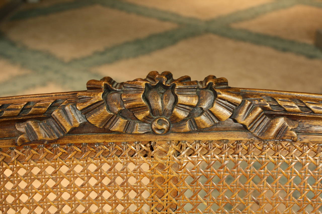 French Louis XVI Style Caned Fruitwood Settee 1