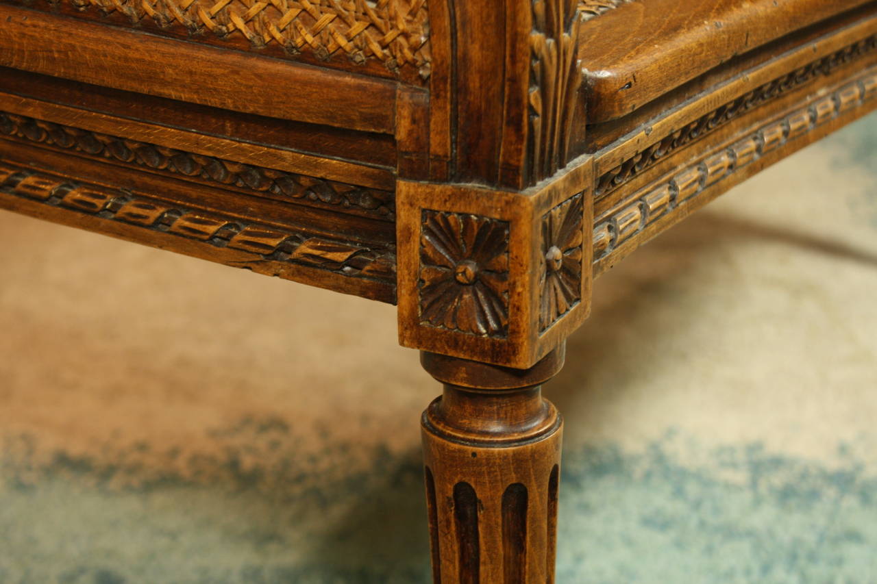 French Louis XVI Style Caned Fruitwood Settee 5