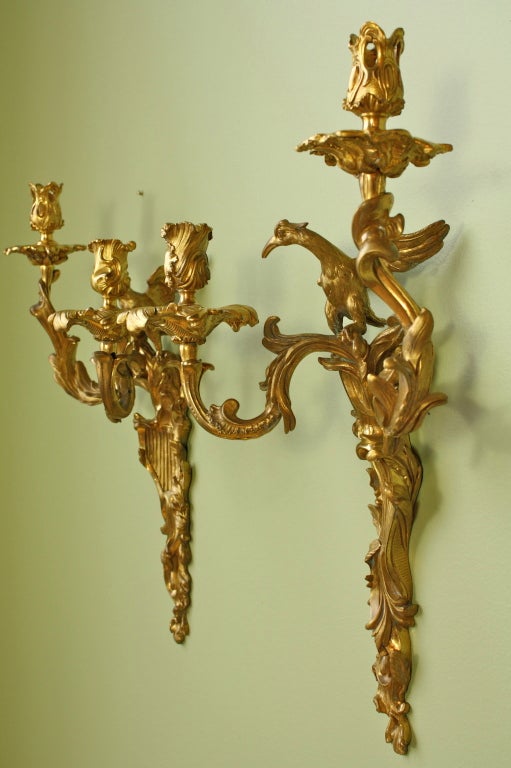 Paire d'appliques rococo en bronze doré avec oiseaux de la Maison Bagues