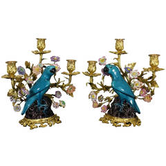Pair of French Gilt Bronze and Chinese Ceramic Parrot Candelabras 7