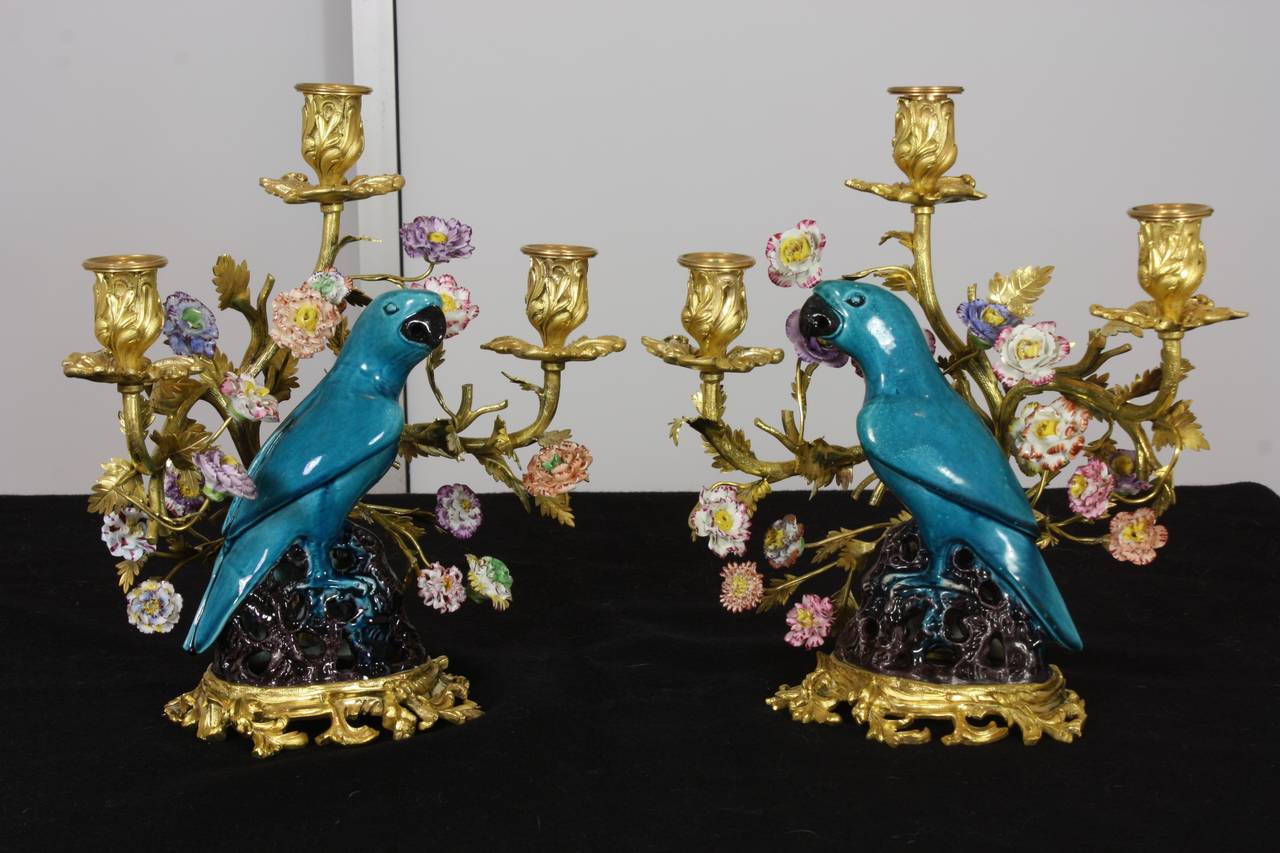 A lovely pair of turquoise-colored glazed Chinese ceramic parrots, French-mounted in gilt-bronze rococo bases as candelabra with multi-colored French porcelain flowers (Louis XV style, 19th century).