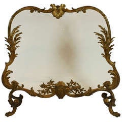 Impressive French Bronze Firescreen with Glass 7