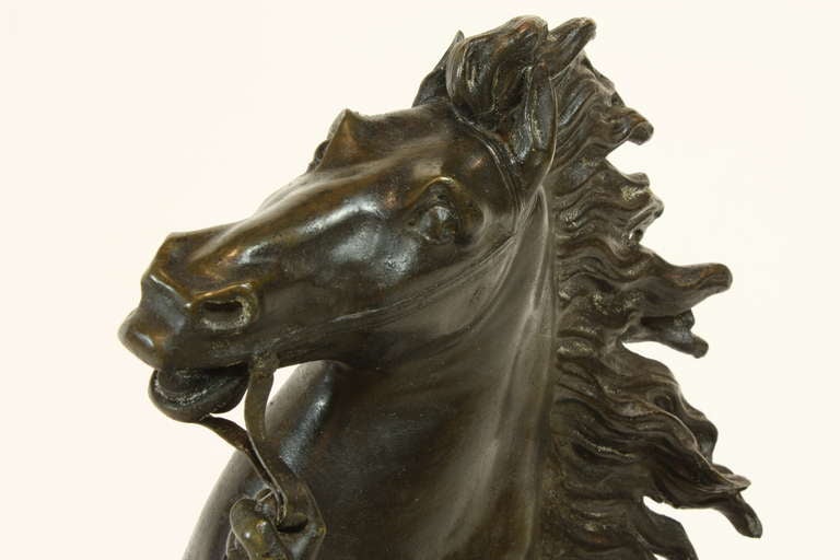 Pair of French Bronze Marly Horses 1
