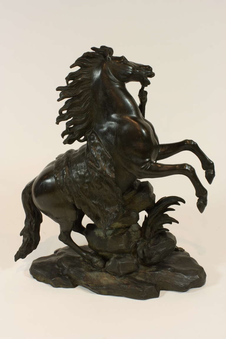 Pair of French Bronze Marly Horses 2