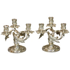 Pair of French Silvered-Bronze Rococo Candelabra