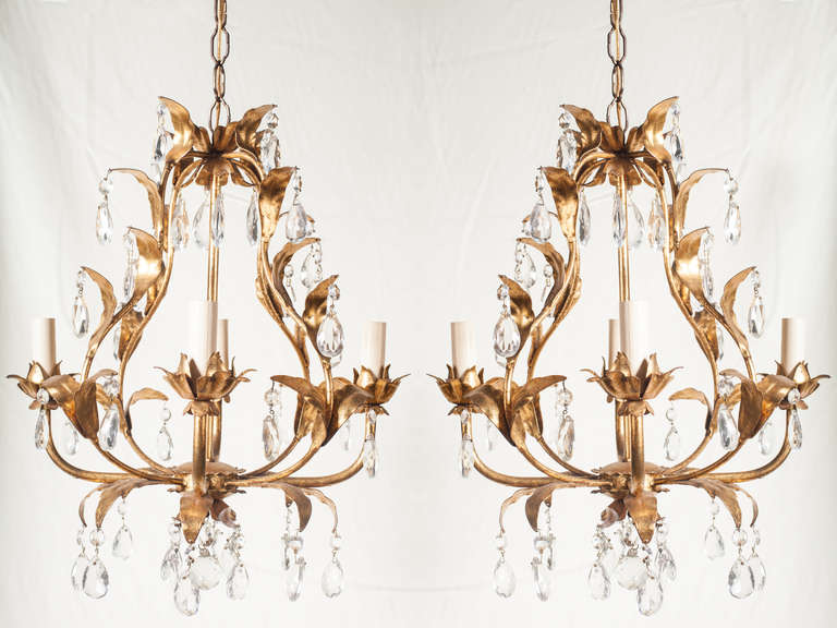 Pair of 1950's Italian Gilt Chandeliers In Excellent Condition In West Palm Beach, FL