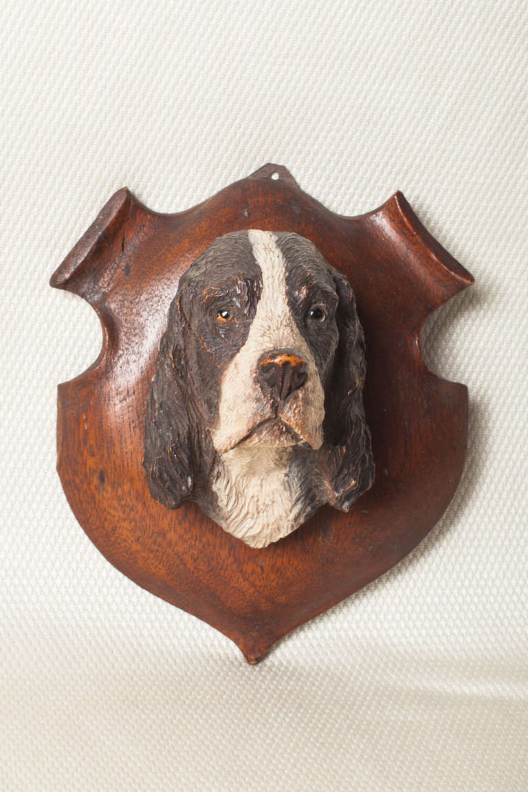 English Springer Spaniel