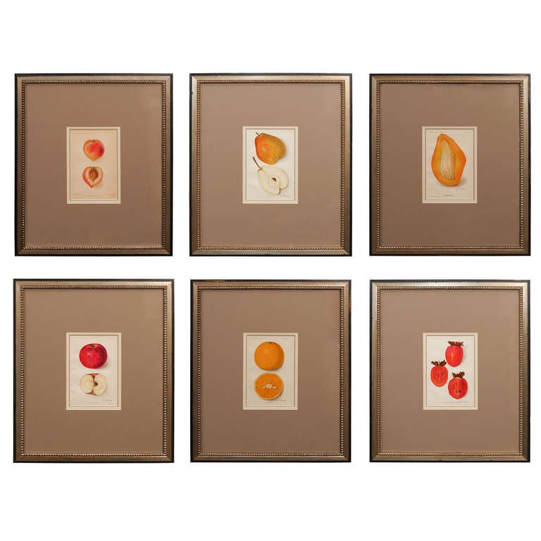 Set of Fruit Prints