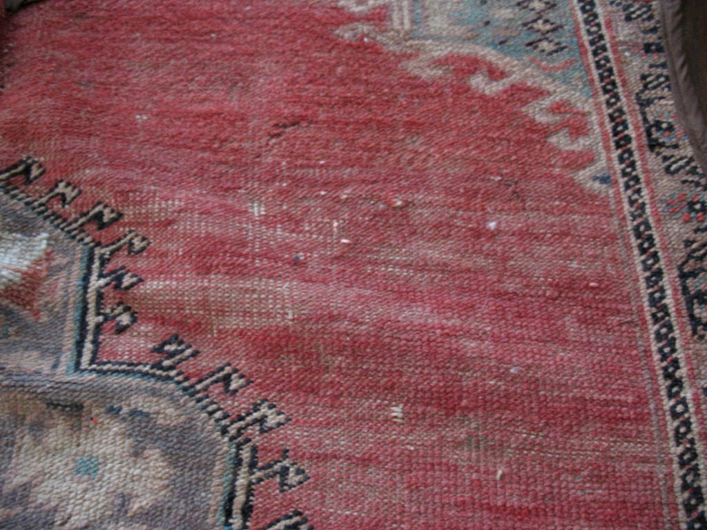 Antique Tabriz Wool Rug Re-purposed as Persian Bear Rug 5