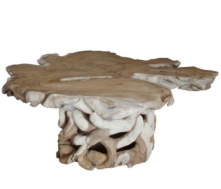 Massive Belgian Tree Trunk Root Table; the top being one solid piece of Suar wood; 20th Century.  Fabulous piece of organic sculpture.  Sensational center table.  Use glass topper for dining as alternative use.