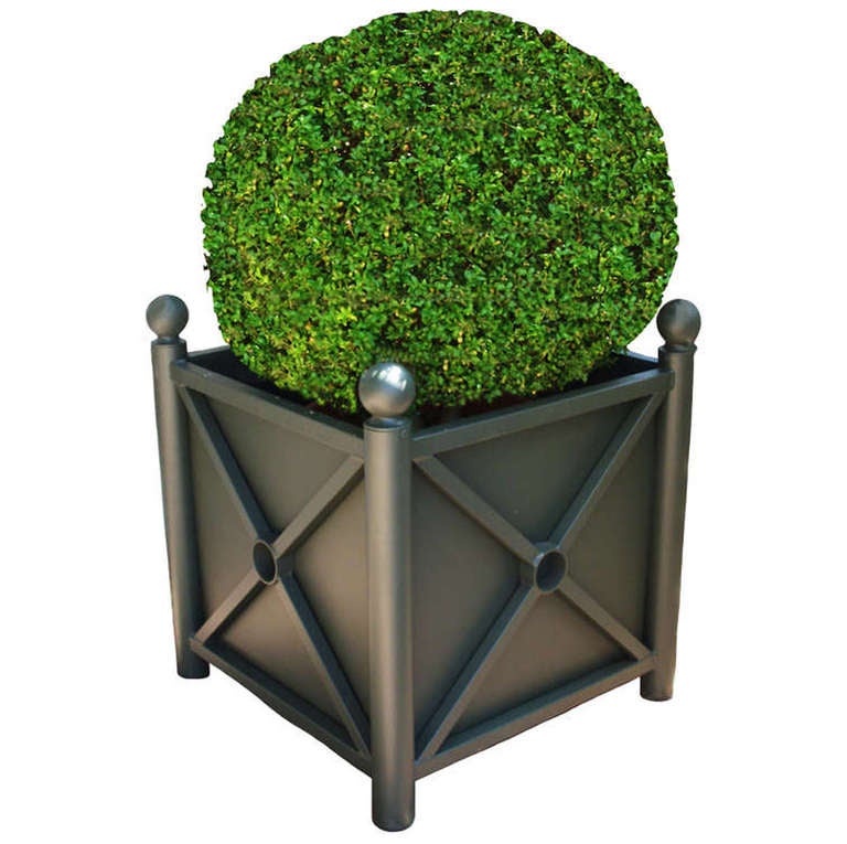 Pair of Versailles Plant Boxes at 1stdibs