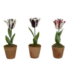 French Porcelain Tulips in Terracotta Pots
