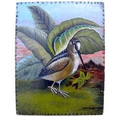 "Shore Bird"