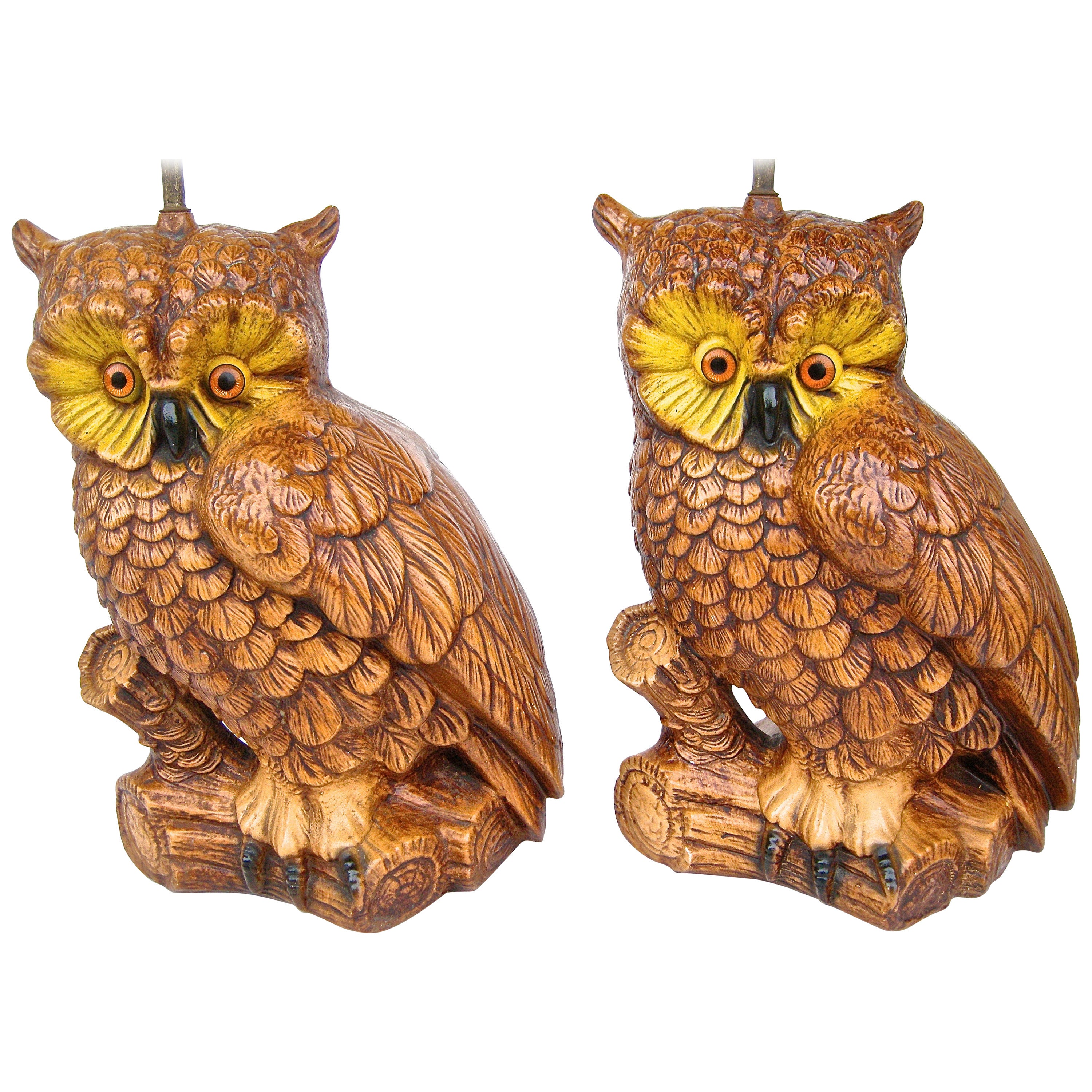 Graphic Barnyard Owl Lights For Sale