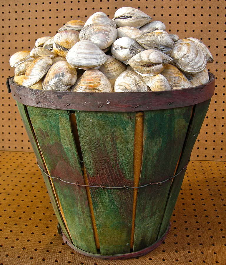 A whimsical vintage sculpture most likely originating as s seafood store advertisement window prop.  Having a deep green gathering basket base, stuffed with foam and topped with a mound of colorful real clamshells.  The perfect gift for the hard to